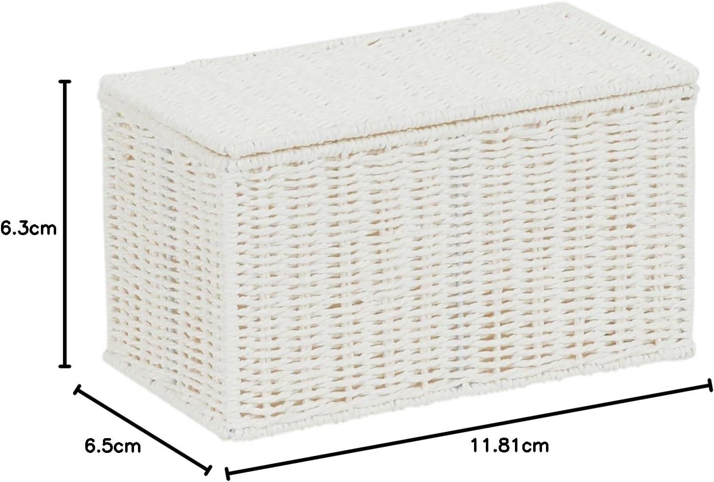 image:imageHousehold Essentials Small Handwoven Paper Rope Wicker Basket with Lid BlackWhite
