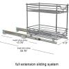 Household Essentials Glidez Chrome-Plated Steel 2-Tier Sliding Under Sink Cabinet Organizer, Chrome(2-Tier Sliding)