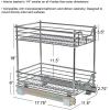 Household Essentials Glidez Chrome-Plated Steel 2-Tier Sliding Under Sink Cabinet Organizer, Chrome(2-Tier Sliding)