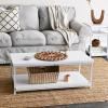 Household Essentials Jamestown Rectangular Coffee Table with Storage Shelf Coastal Oak Rustic Wood Grain and White Metal(White)