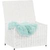 Household Essentials Woven Paper Rope Storage Chest with Hinged Lid and Integrated Handles, Grey(White)
