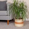 Round Handwoven Paper Rope Basket with Terracotta Stripe and Handles, Natural