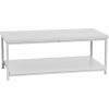 Household Essentials Jamestown Rectangular Coffee Table with Storage Shelf Coastal Oak Rustic Wood Grain and White Metal(White)