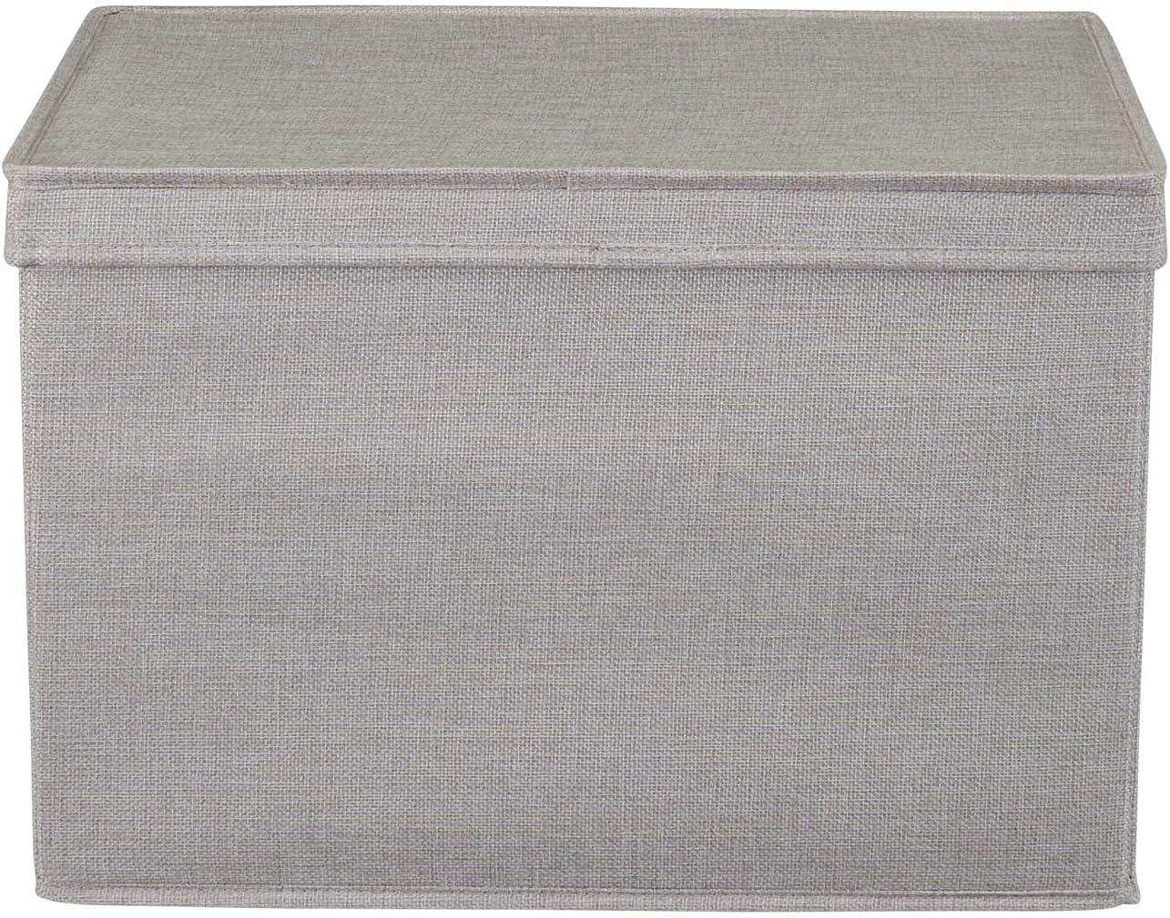 image:imageHousehold Essentials Silver Wide KD Storage Lid Box