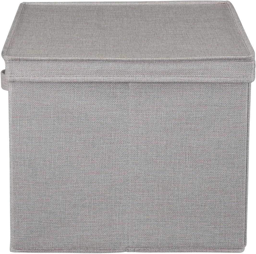 image:imageHousehold Essentials Silver Wide KD Storage Lid Box