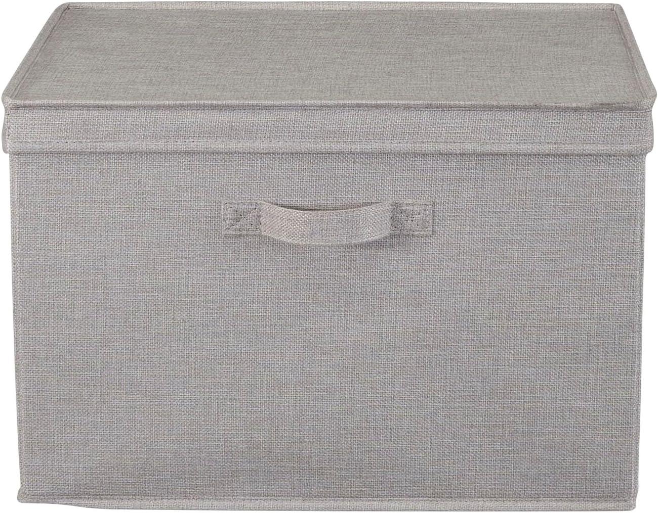 image:imageHousehold Essentials Silver Wide KD Storage Lid Box
