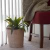 Household Essentials White Paper Rope Waste Basket Trash Bin for Bathroom, Bedroom, Office ML-7192(Natural Cattail)