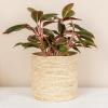 Household Essentials White Paper Rope Waste Basket Trash Bin for Bathroom, Bedroom, Office ML-7192(Natural Corn Leaf)