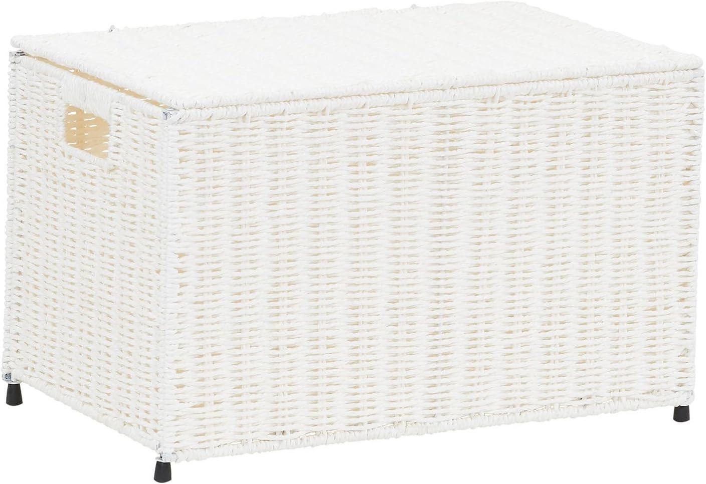 image:imageHousehold Essentials Paper Rope Woven Sturge Chest Large Arctic WhiteWhite