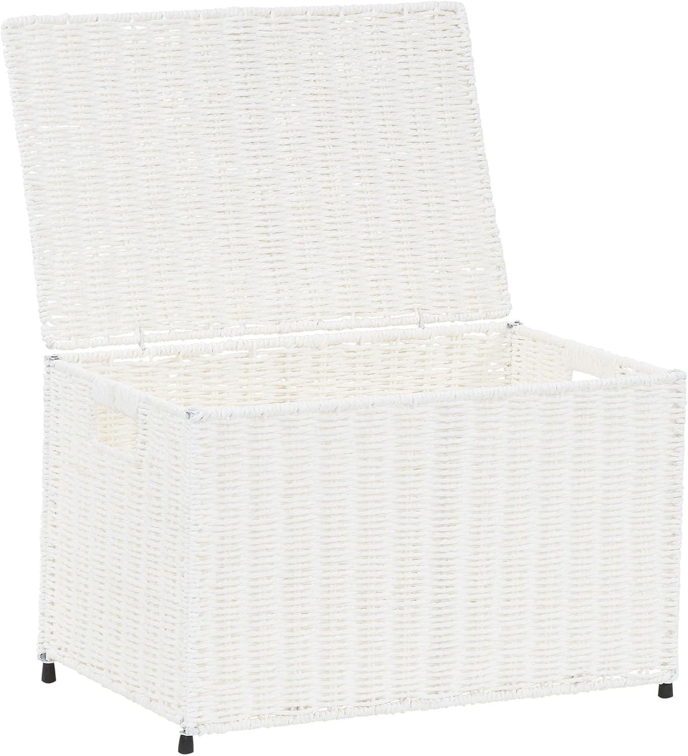 image:imageHousehold Essentials Paper Rope Woven Sturge Chest Large Arctic WhiteWhite
