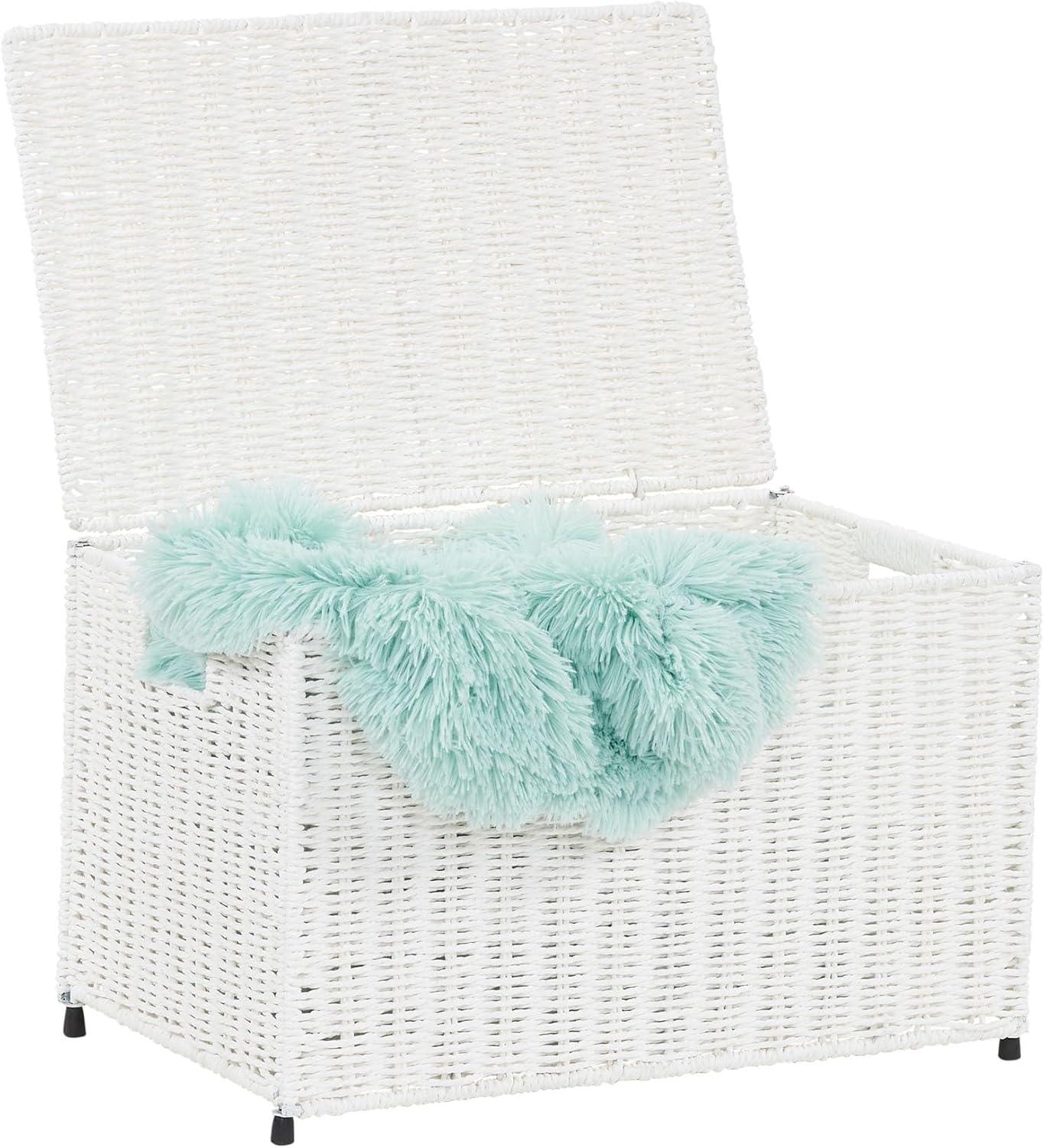 image:imageHousehold Essentials Paper Rope Woven Sturge Chest Large Arctic WhiteWhite