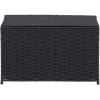 Household Essentials Paper Rope Woven Sturge Chest, Large, Arctic White(Black)