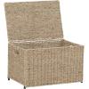 Household Essentials Paper Rope Woven Sturge Chest, Large, Arctic White(Light Brown)
