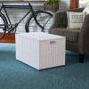 Household Essentials Paper Rope Woven Sturge Chest, Large, Arctic White(White)