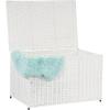 Household Essentials Paper Rope Woven Sturge Chest, Large, Arctic White(White)