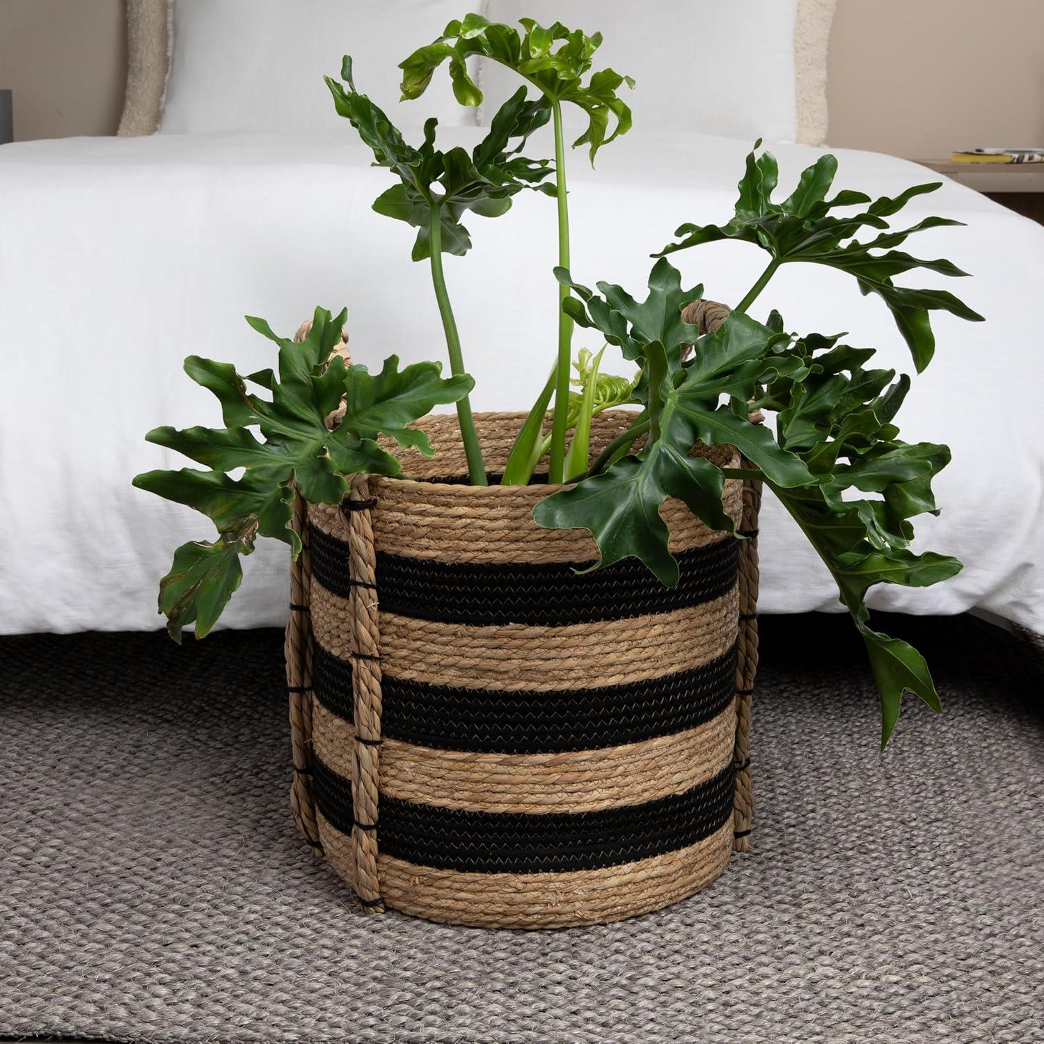 image:imageHousehold Essentials Braided Handle Basket Black and Natural