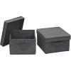 Household Essentials Medium Fabric Storage Bins with Lids, Graphite, Set of 2(Graphite)
